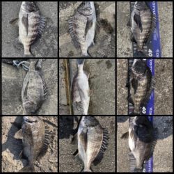 イチノ兄弟、釣果!