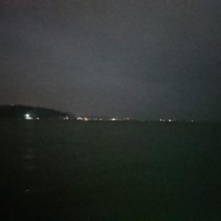 初ブルーバック!