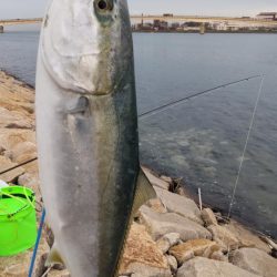 ヒラメ狙いでまさかの・・