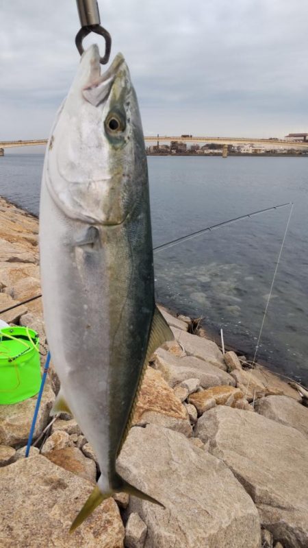ヒラメ狙いでまさかの・・