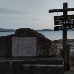 まさかのメジロ