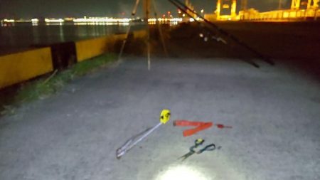 小ぶりのアナゴ