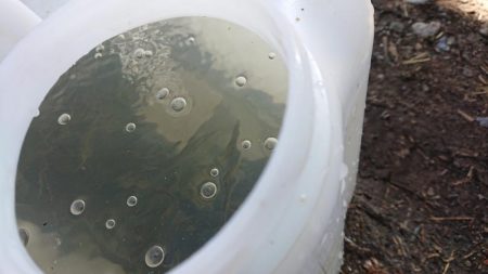 ホンモロコ釣り