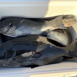 予想より激渋で苦戦