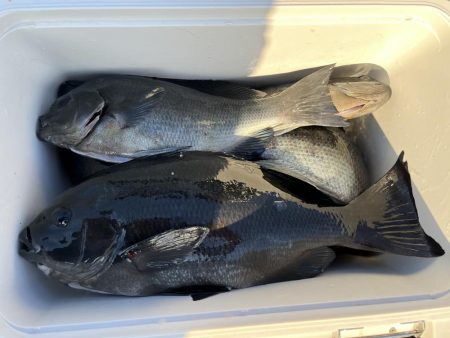 予想より激渋で苦戦