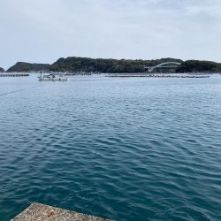 思わぬ大物！！