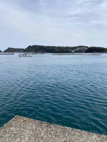 思わぬ大物！！