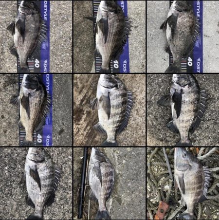 題名連日年無し❗️(イチノ兄弟)