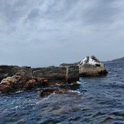 フカセ‥最高ですネ・・