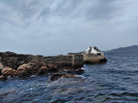 フカセ‥最高ですネ・・