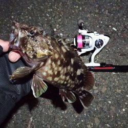 2022/03/24 南港ライトゲーム釣行 ～尺タケノコ～