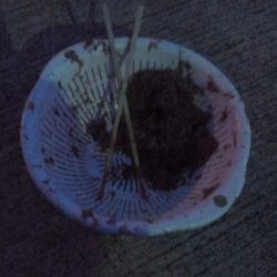 アジ1本狙い!!貴重な動物性たんぱく質!