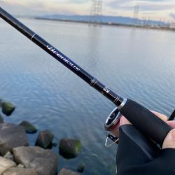 淀川ブリームゲーム 22年ファーストフィッシュ