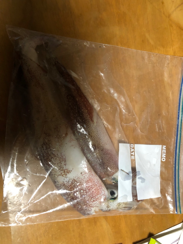 ぽかぽか天気にヤリました