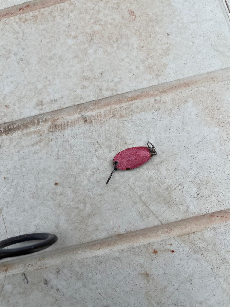 服部フィッシングパーク