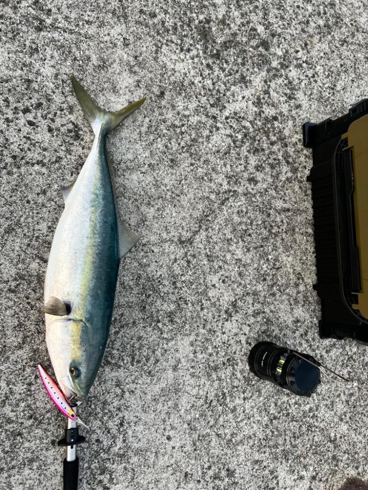 今年初ショア青物！