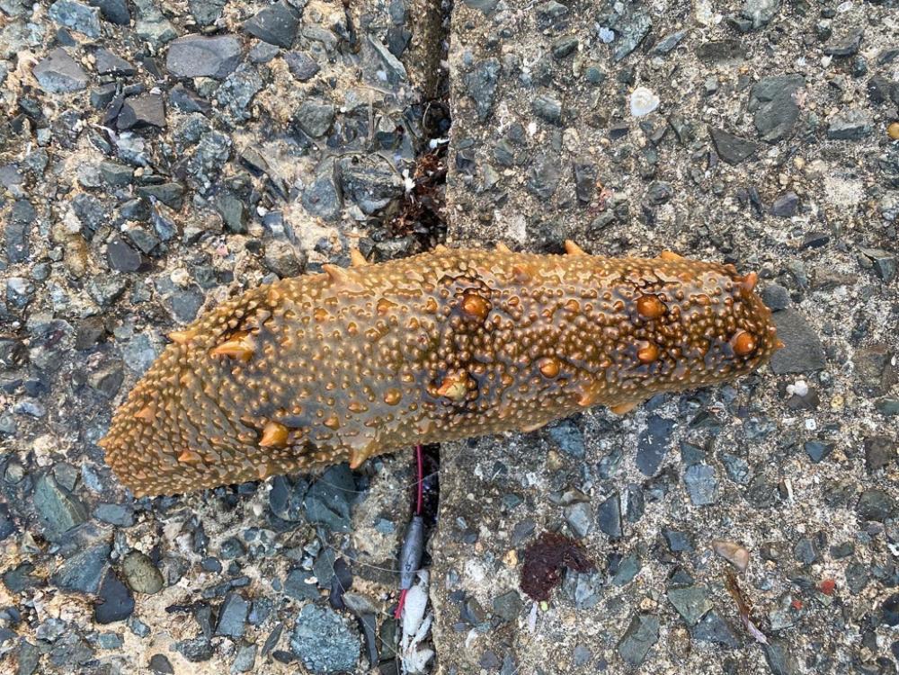 久しぶりの朝活