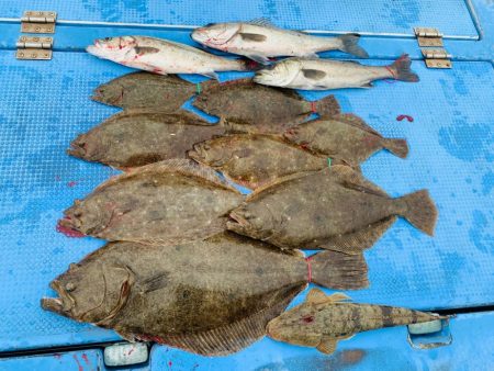 天草【幸龍丸】ライト落とし込みで良型ヒラメGET★