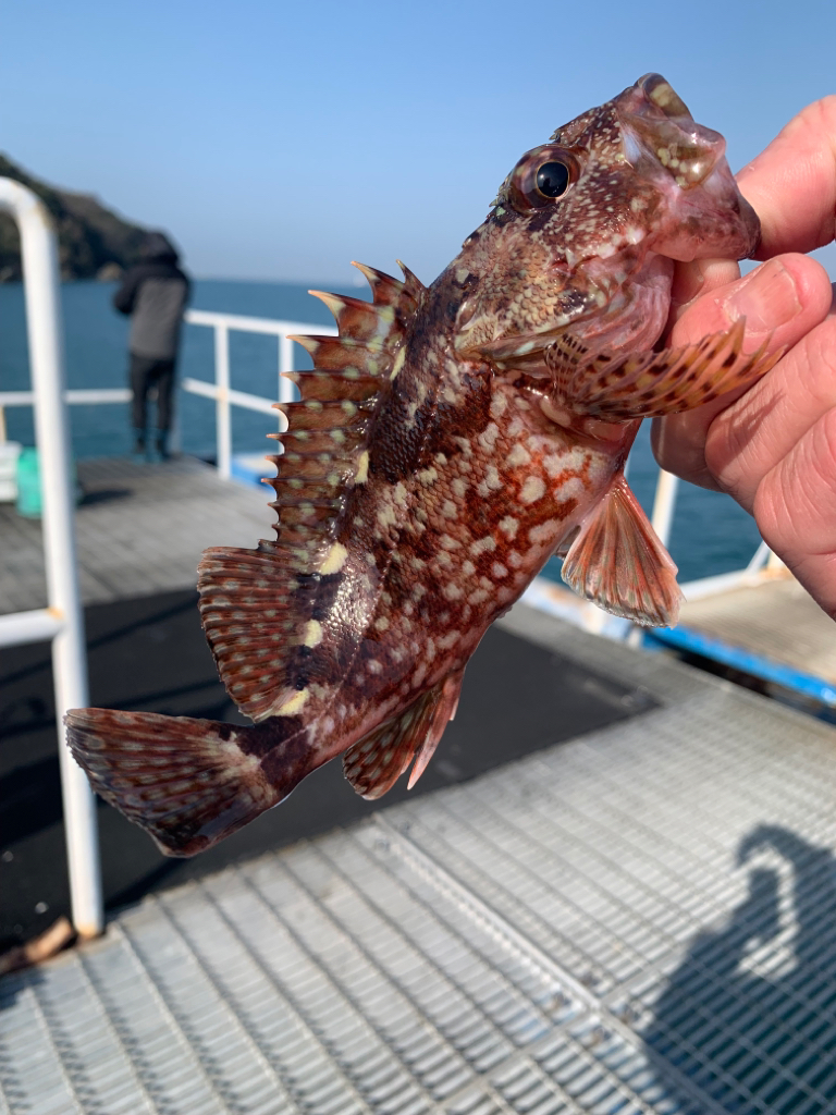 朝はまだまだ寒いです