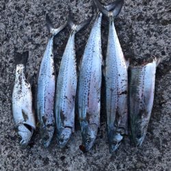 天草苓北町のサーフ