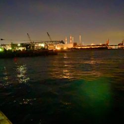 強風の中、何とか一匹