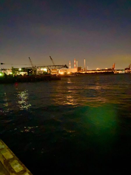 強風の中、何とか一匹