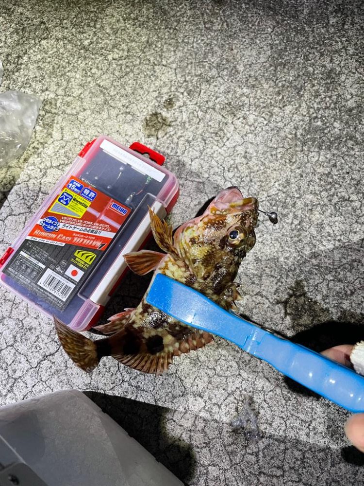 ガシリングからの