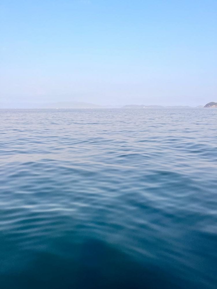 コウイカ&メバル