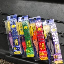 発売前のビッグアイNEOGLOWでイカメタルです。