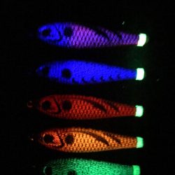 ネオグローのビッグアイで釣れ続くイカメタル