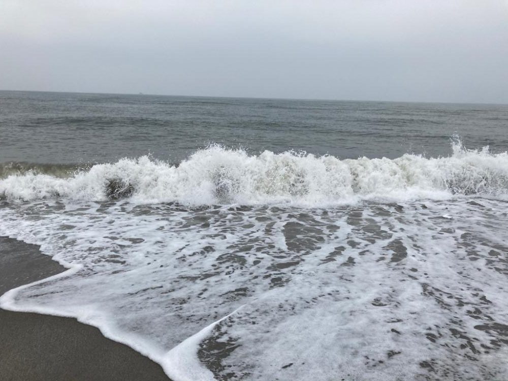 座布団もう一枚？！