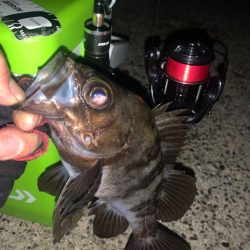 雨上がりはメバリング♪