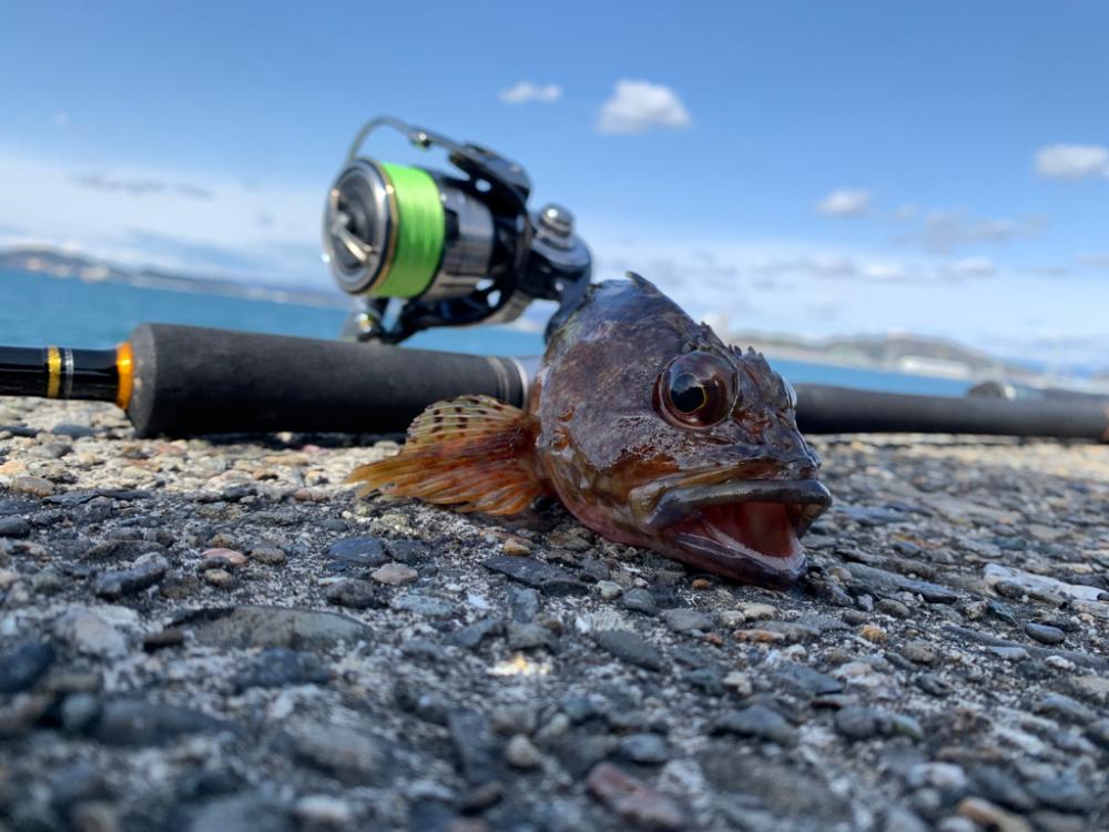 ライトロックゲーム