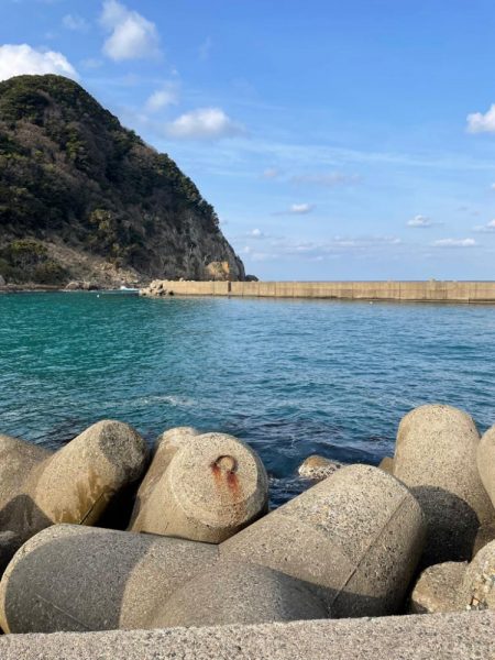 ヤリイカ釣れました