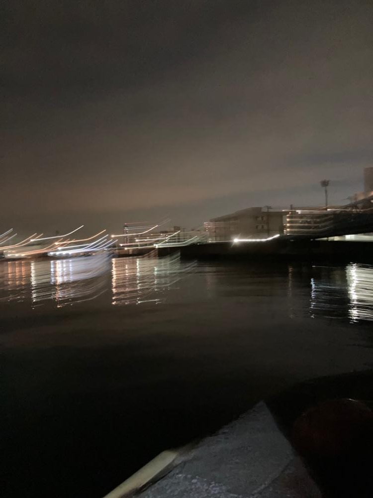 アジサイズのシーバス