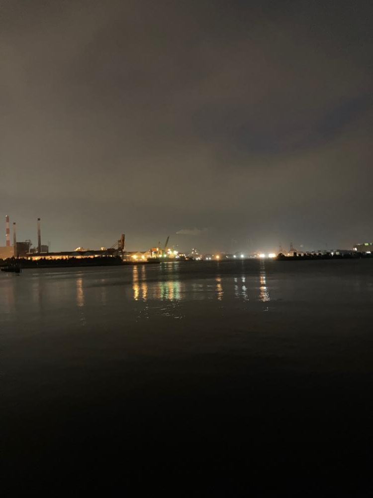 激しいエラ洗い