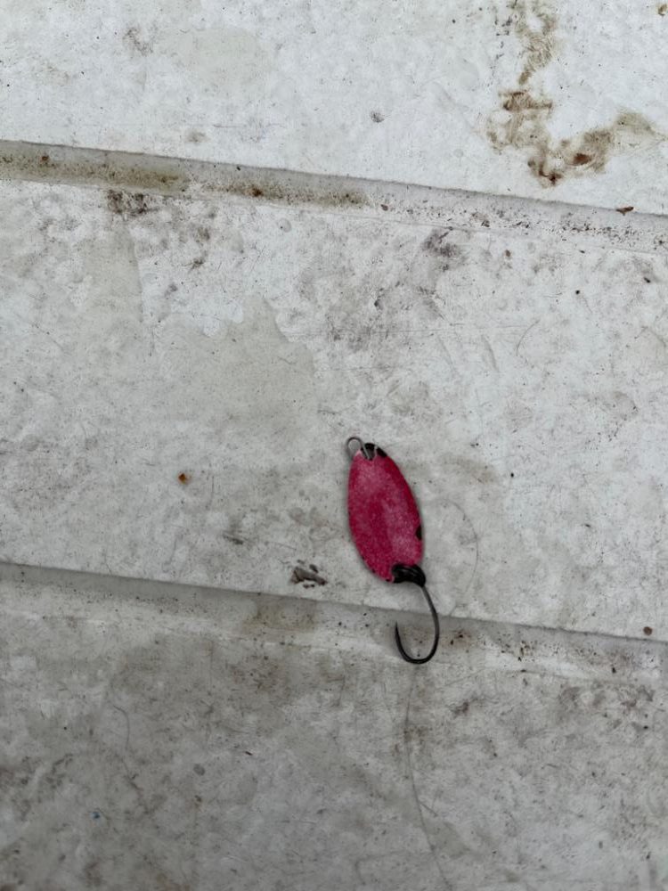 服部フィッシングパーク