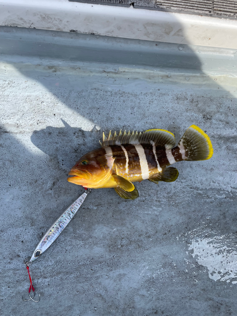 徳島沖ジギング