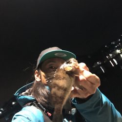 坊勢島の調査(  ‘-‘ )