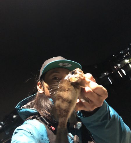 坊勢島の調査(  ‘-‘ )