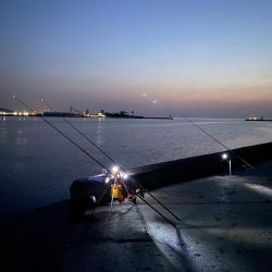 花見カレイ狙い　投げ釣り