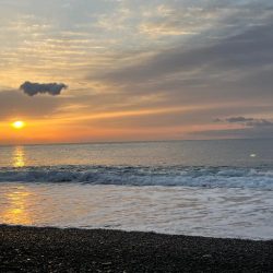 ジャックアイTGスイムをメジロが丸のみ