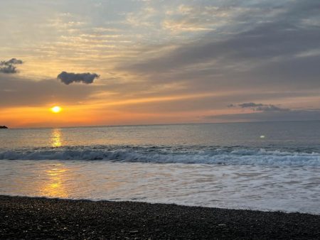 ジャックアイTGスイムをメジロが丸のみ