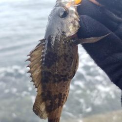 メバリング新規ポイント開拓