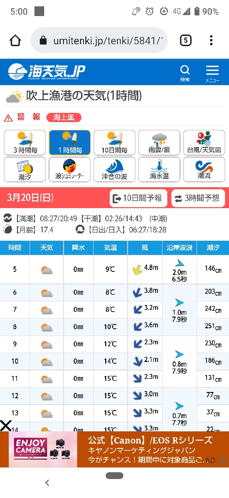 吹上浜にてサゴシ