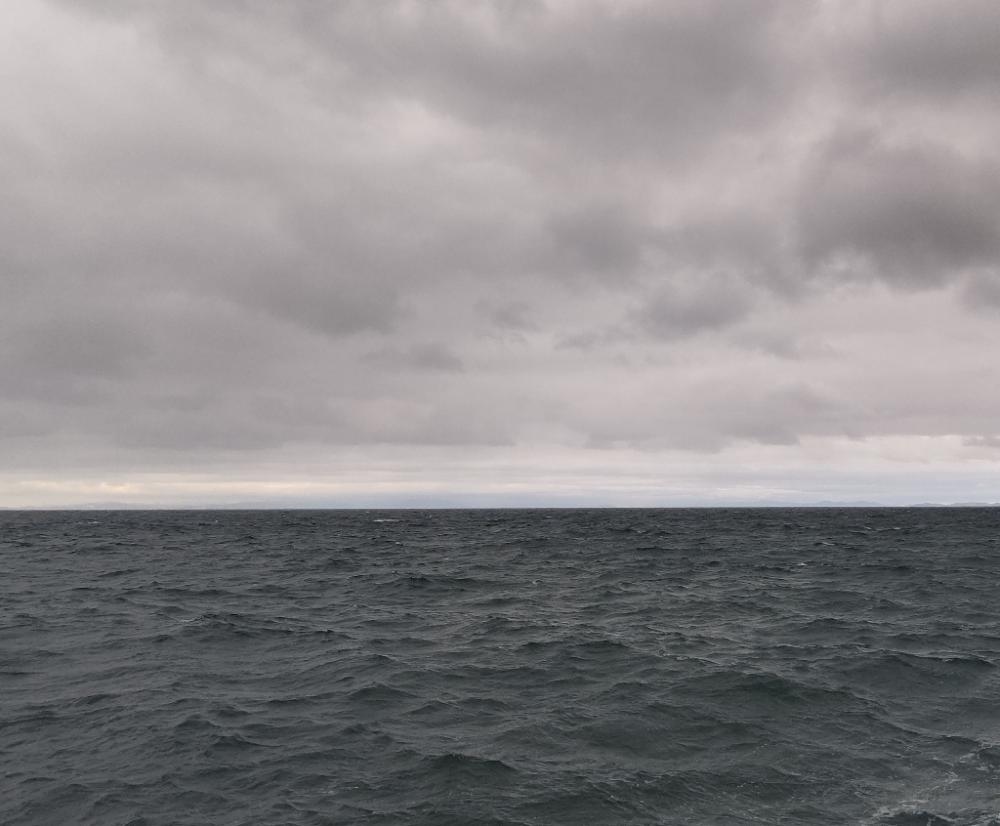 ショアプラッキング