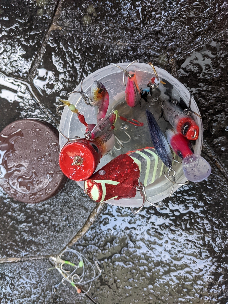 釣り再開後、やっとこましな獲物!