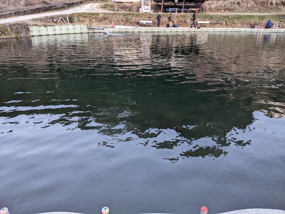 頂鱒を求めて〜