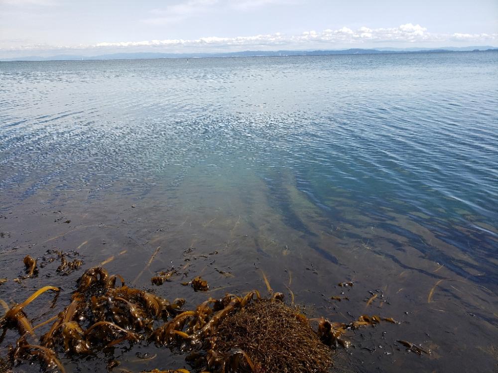 まだまだ渋い季節
