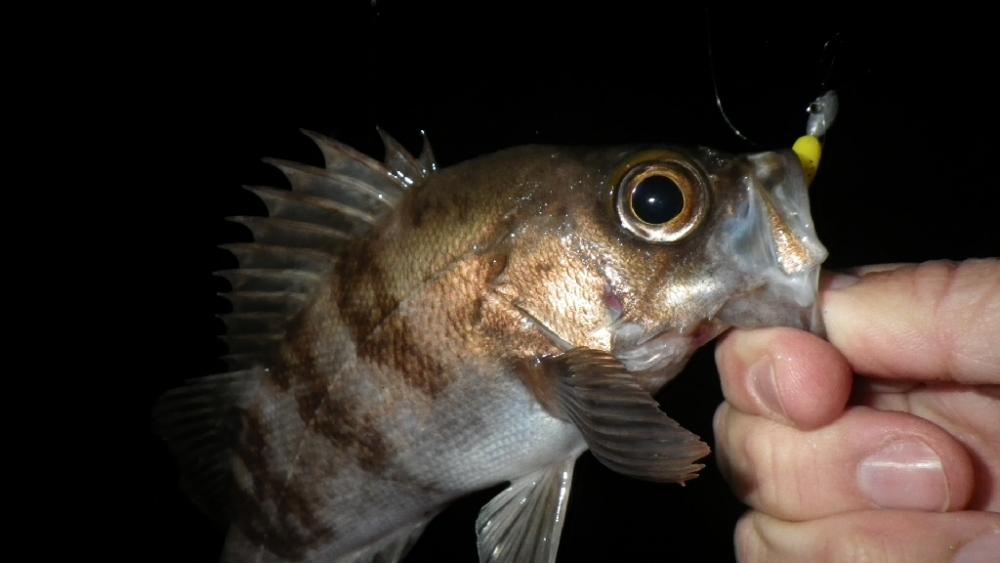 雨の止み間にアタック